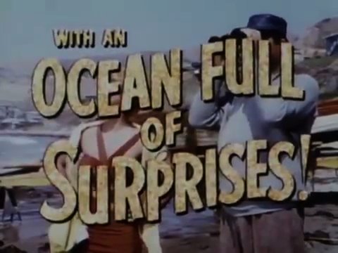 Trailer 4
