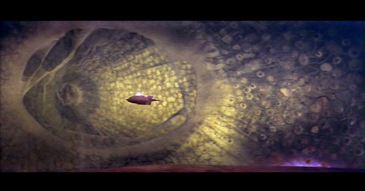 Fantastic Voyage Exp 3
